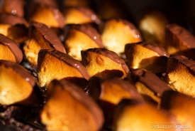 LES MADELEINES CHOCOLAT  500GR - La Biscuiterie Lolmede